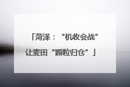 菏泽：“机收会战”让麦田“颗粒归仓”