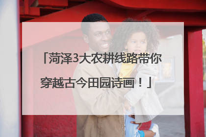 菏泽3大农耕线路带你穿越古今田园诗画！
