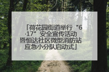 荷花园街道举行“6·17”安全宣传活动暨恒达社区微型消防站应急小分队启动式