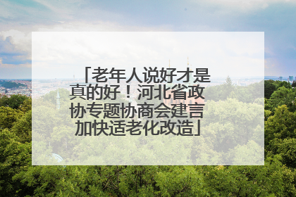老年人说好才是真的好！河北省政协专题协商会建言加快适老化改造