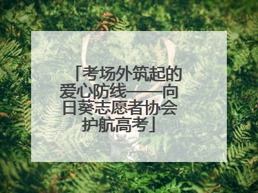 考场外筑起的爱心防线——向日葵志愿者协会护航高考