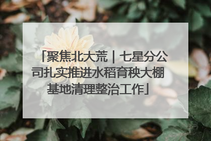 聚焦北大荒｜七星分公司扎实推进水稻育秧大棚基地清理整治工作