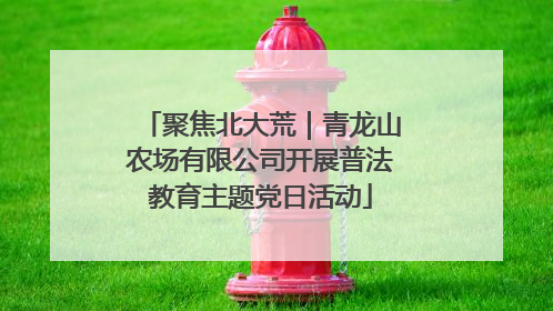 聚焦北大荒｜青龙山农场有限公司开展普法教育主题党日活动