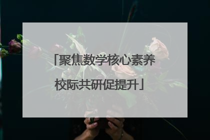聚焦数学核心素养 校际共研促提升