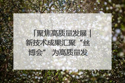 聚焦高质量发展｜新技术成果汇聚“丝博会” 为高质量发展注入新动能