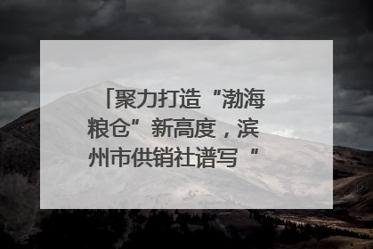 聚力打造“渤海粮仓”新高度，滨州市供销社谱写“三夏”丰收乐章