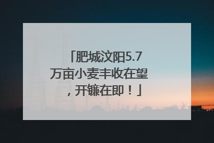 肥城汶阳5.7万亩小麦丰收在望，开镰在即！