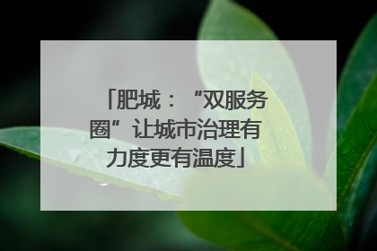 肥城：“双服务圈”让城市治理有力度更有温度