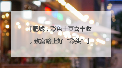 肥城：彩色土豆喜丰收，致富路上好“彩头”