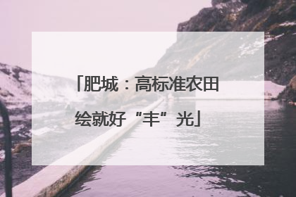 肥城：高标准农田绘就好“丰”光