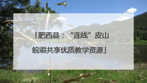 肥西县：“连线”皮山 皖疆共享优质教学资源