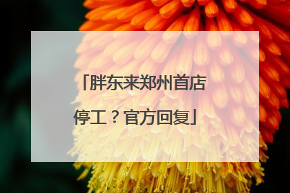 胖东来郑州首店停工？官方回复