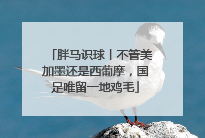 胖马识球丨不管美加墨还是西葡摩，国足唯留一地鸡毛