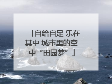 自给自足 乐在其中 城市里的空中“田园梦”