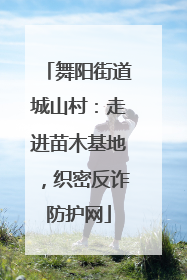 舞阳街道城山村：走进苗木基地，织密反诈防护网