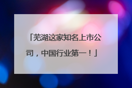 芜湖这家知名上市公司，中国行业第一！