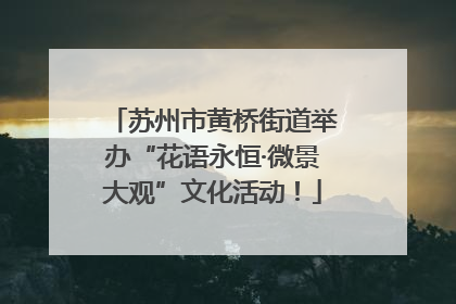 苏州市黄桥街道举办“花语永恒·微景大观”文化活动！
