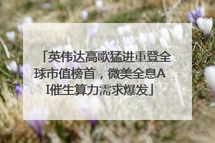 英伟达高歌猛进重登全球市值榜首，微美全息AI催生算力需求爆发