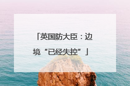 英国防大臣：边境“已经失控”