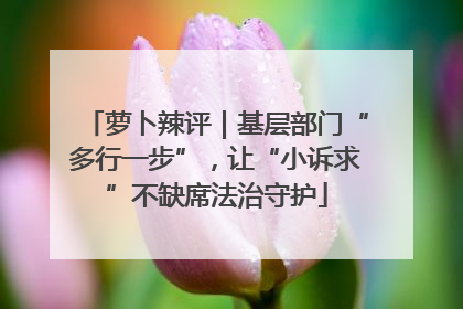 萝卜辣评｜基层部门“多行一步”，让“小诉求”不缺席法治守护