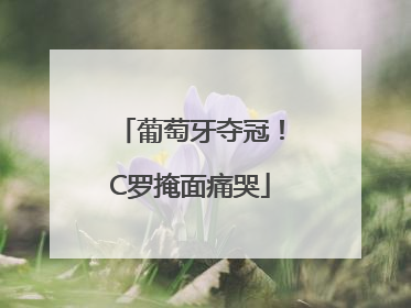 葡萄牙夺冠！C罗掩面痛哭