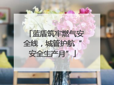 蓝盾筑牢燃气安全线，城管护航“安全生产月”
