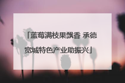 蓝莓满枝果飘香 承德宽城特色产业助振兴
