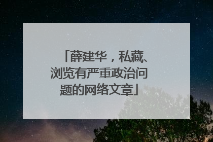 薛建华，私藏、浏览有严重政治问题的网络文章