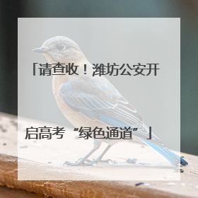 请查收！潍坊公安开启高考“绿色通道”