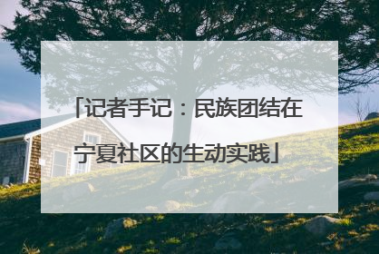记者手记：民族团结在宁夏社区的生动实践