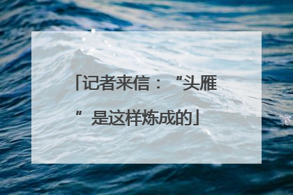记者来信：“头雁”是这样炼成的