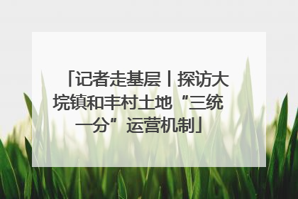 记者走基层丨探访大垸镇和丰村土地“三统一分”运营机制