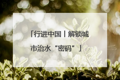 行进中国丨解锁城市治水“密码”