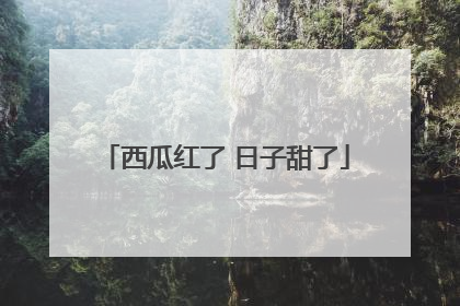 西瓜红了 日子甜了