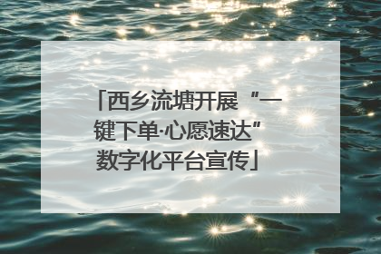 西乡流塘开展“一键下单·心愿速达”数字化平台宣传