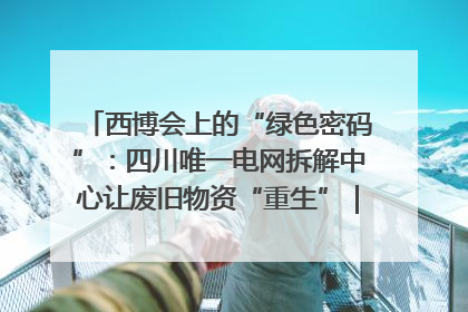 西博会上的“绿色密码”：四川唯一电网拆解中心让废旧物资“重生”｜西博寻“新”记