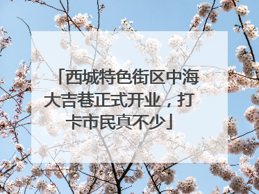 西城特色街区中海大吉巷正式开业，打卡市民真不少