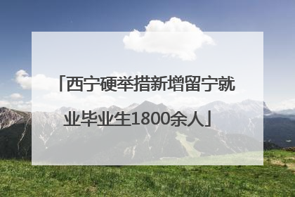 西宁硬举措新增留宁就业毕业生1800余人