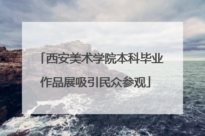 西安美术学院本科毕业作品展吸引民众参观