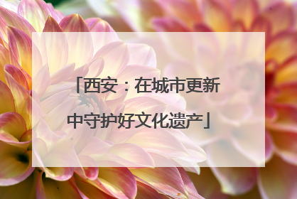 西安：在城市更新中守护好文化遗产