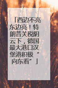西边不亮东边亮！特朗普关税阴云下，德国最大港口汉堡港积极“向东看”