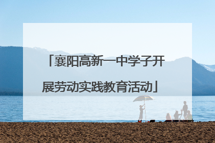 襄阳高新一中学子开展劳动实践教育活动
