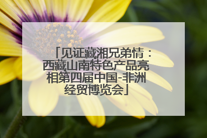 见证藏湘兄弟情：西藏山南特色产品亮相第四届中国-非洲经贸博览会