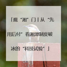 观“湘”门丨从“先用后付”看湘潭制度破冰的“科技试验”