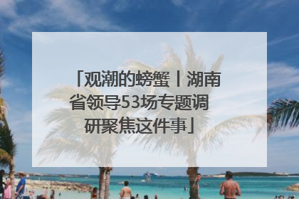 观潮的螃蟹丨湖南省领导53场专题调研聚焦这件事