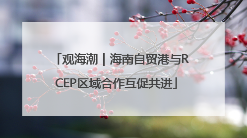 观海潮｜海南自贸港与RCEP区域合作互促共进