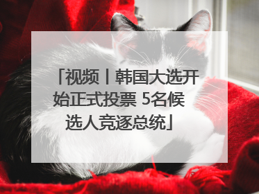 视频丨韩国大选开始正式投票 5名候选人竞逐总统