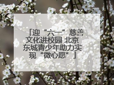 迎“六一”慈善文化进校园 北京东城青少年助力实现“微心愿”