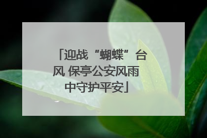迎战“蝴蝶”台风 保亭公安风雨中守护平安