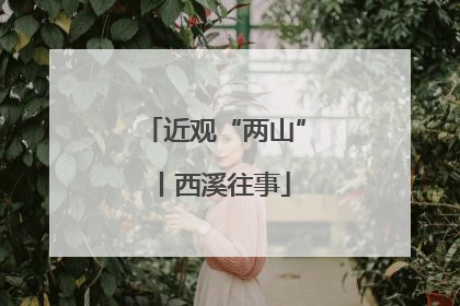 近观“两山”丨西溪往事